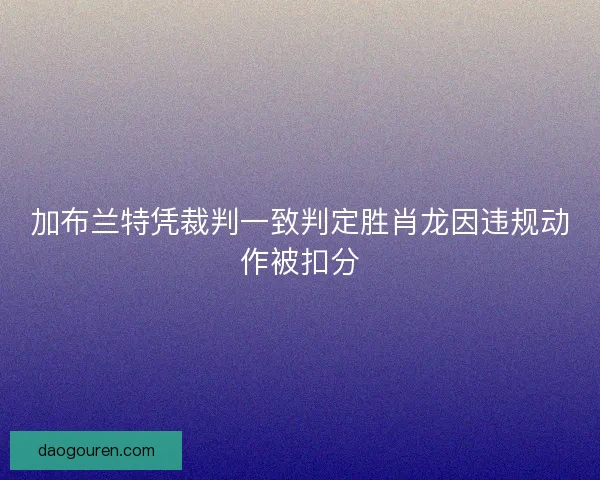 加布兰特凭裁判一致判定胜肖龙因违规动作被扣分