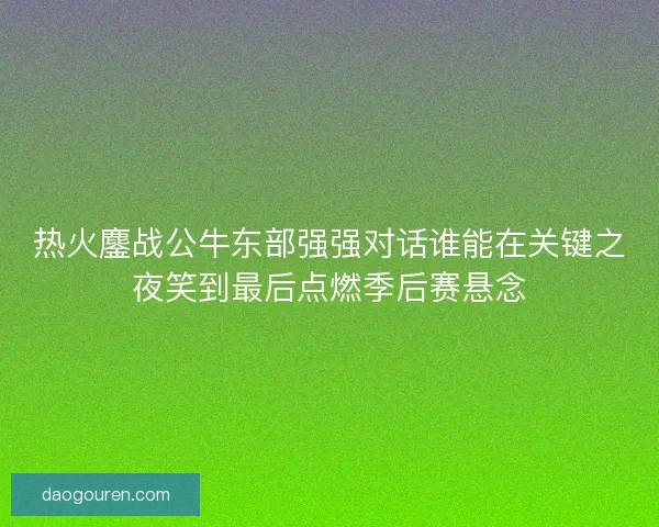 热火鏖战公牛东部强强对话谁能在关键之夜笑到最后点燃季后赛悬念